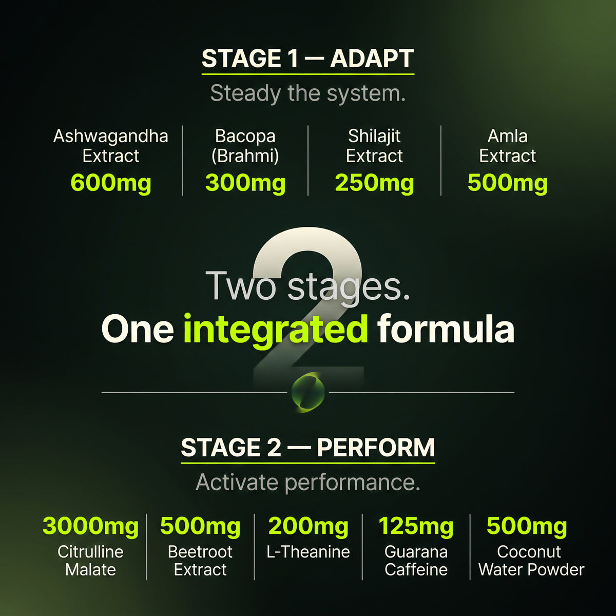 Daily Performance Formula